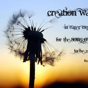 Creation Waits