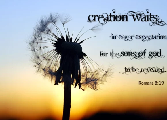 Creation Waits