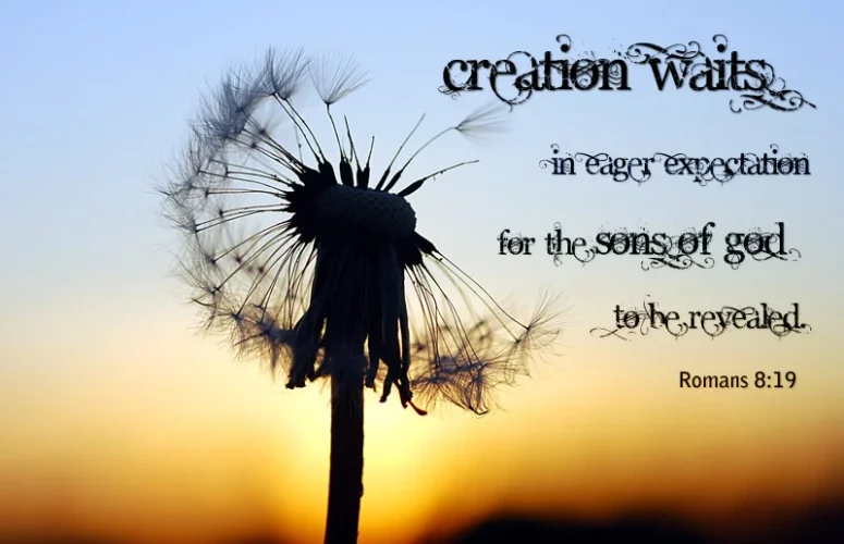 The Creation Waits with Eager Longing