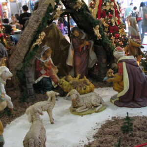 Contemplating the Nativity Scene